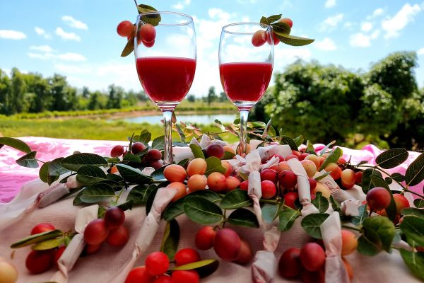 Wines of Greece M/S Panorama