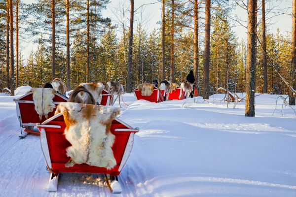 A Cool Festive Break