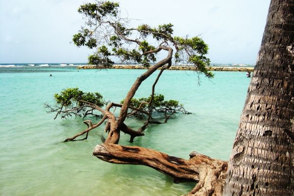 Colombian Highlights