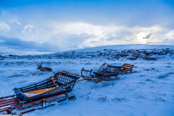 Ultimate Arctic Adventures