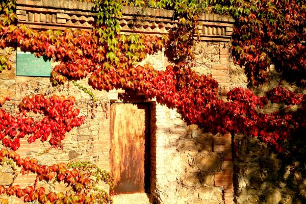 Wines of Greece M/S Panorama