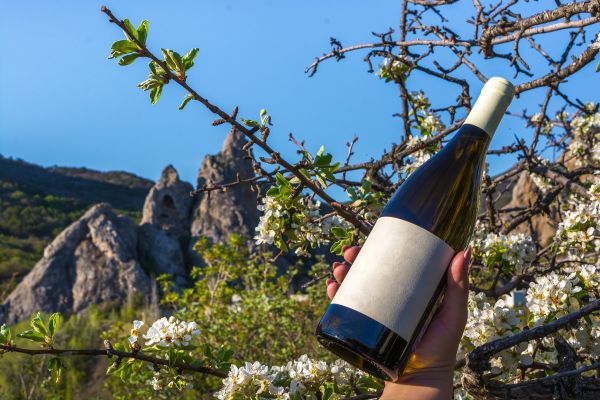 Wines of Greece M/S Panorama