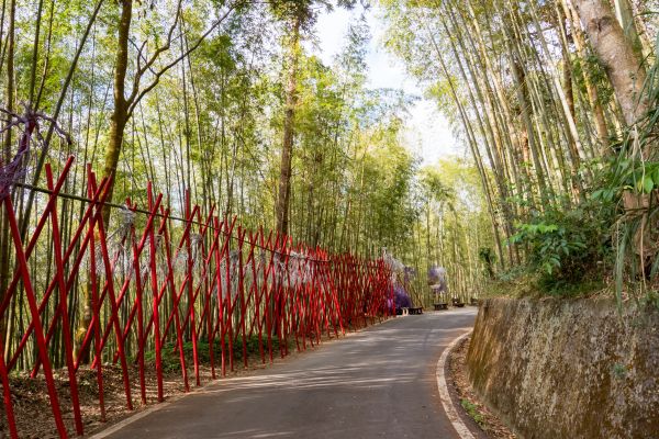 Alishan Cherry Blossom Season