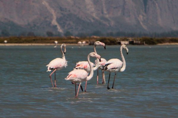 Ionian Odyssey Cruise