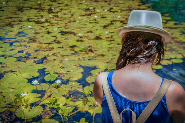 Deep South Discovery