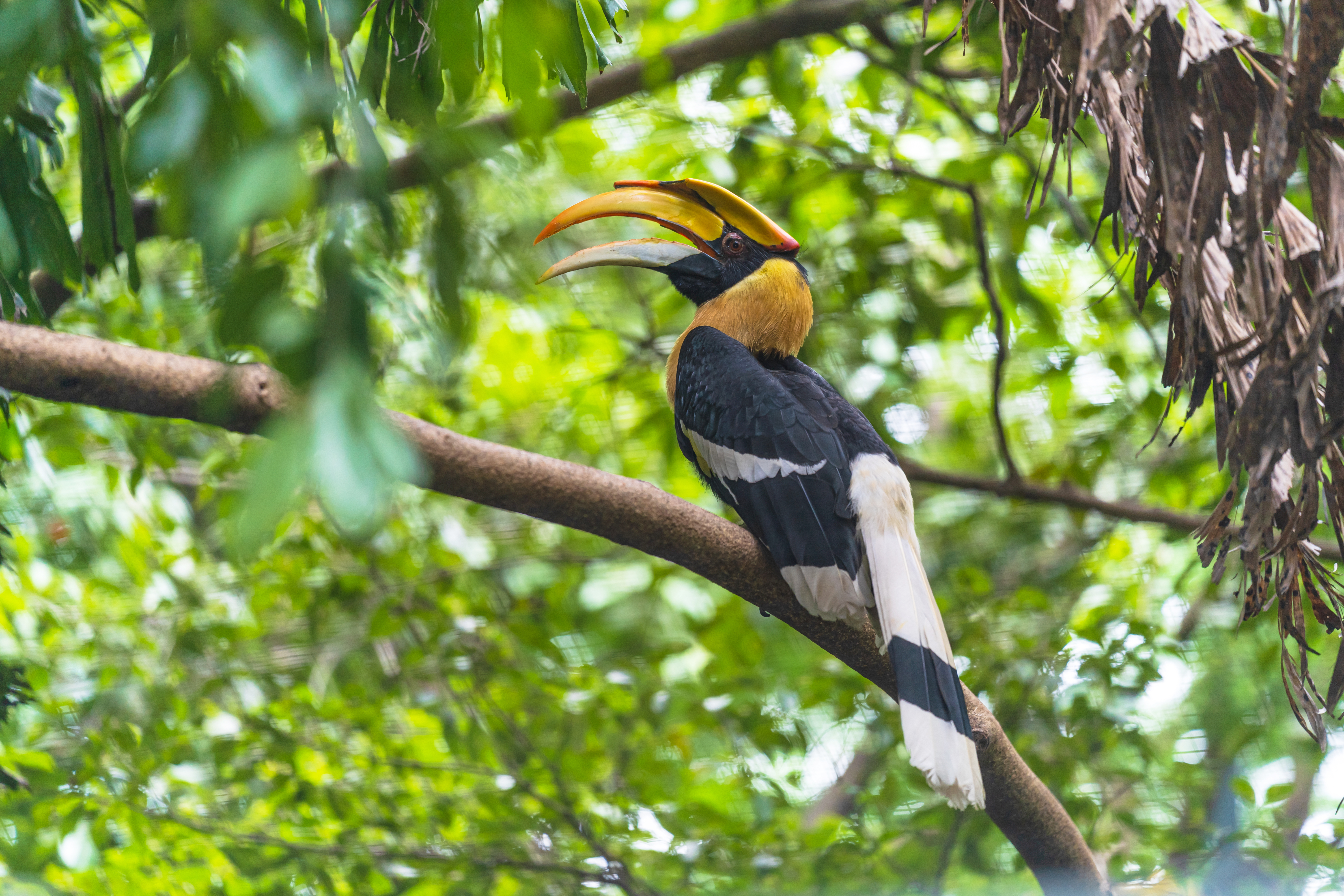 Angkor to the Coast: A Cambodian Tapestry