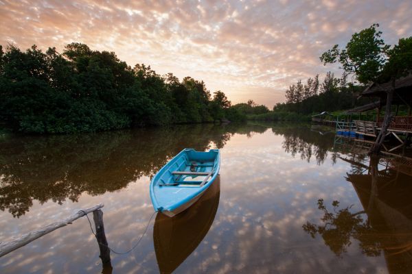 Kingdom's Spirit: Siem Reap and Phnom Penh