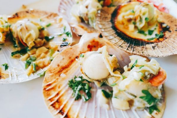 Cruise from Trogir to Dubrovnik