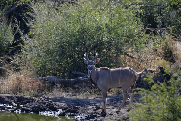 Baltic Capitals and Coastline Explorer