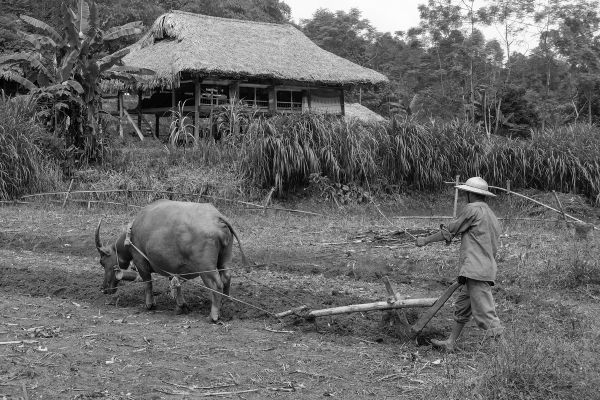 Kingdom's Spirit: Siem Reap and Phnom Penh