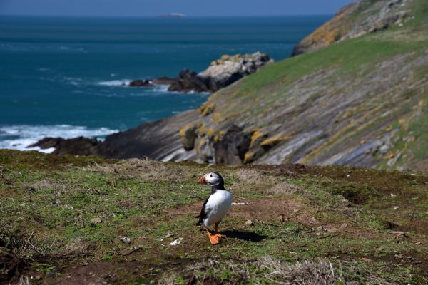 From Coast to Clouds: A Peruvian Odyssey