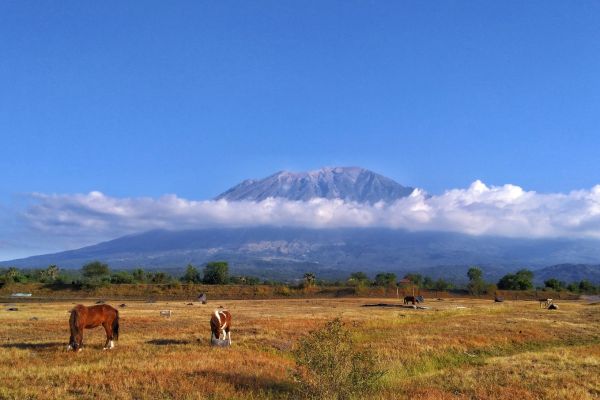 Serengeti's Endless Plains and Ngorongoro's Wonder