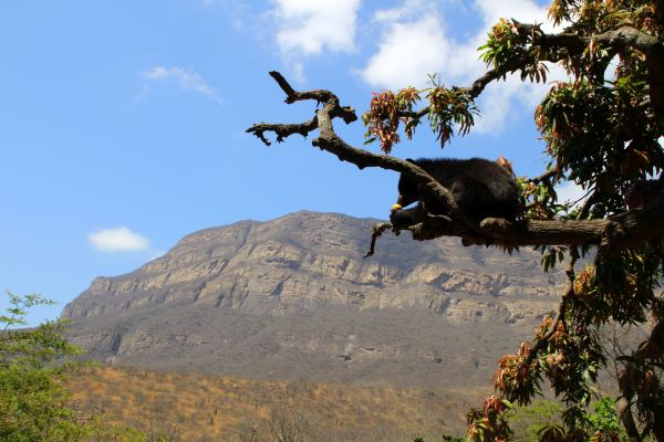 Nicaragua's Volcanic Wonders