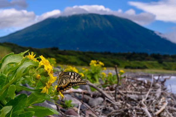 Nicaragua's Volcanic Wonders