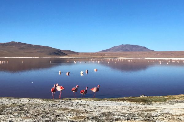 Treasures of the South