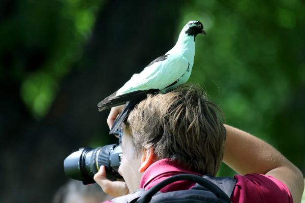 Costa Rica Family Break