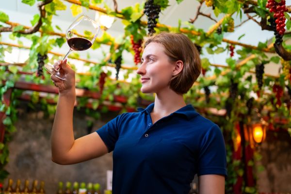 Heart of Croatia: From Zagreb's Culture to Trogir's Coast