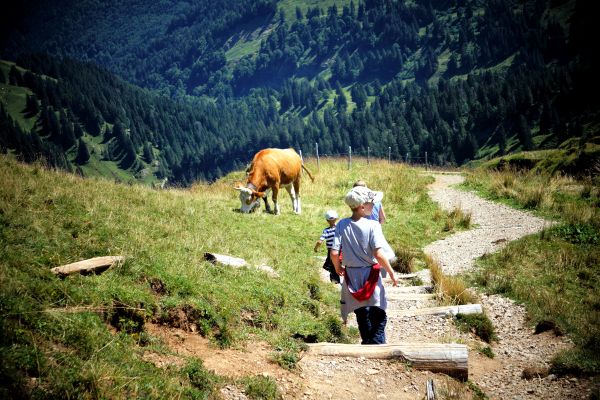 Albania - The Land of the Eagles
