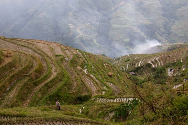 Treasures of the South