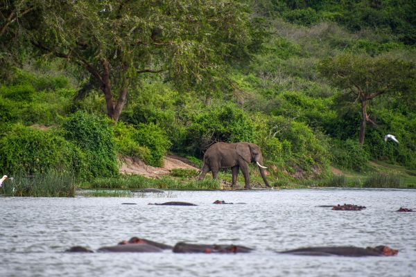 Baltic Capitals and Coastline Explorer