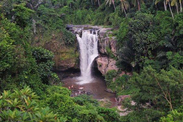 The Ultimate Philippine Explorer