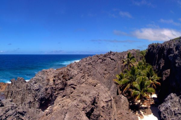 Discover the Best of Togo, Benin and Ghana