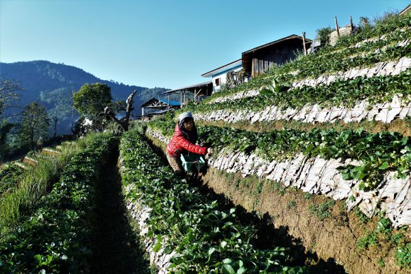 Albania - The Land of the Eagles