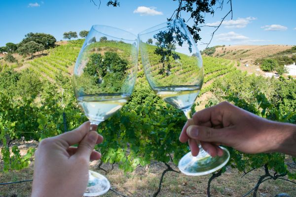 Remarkable Sites and Fine Wines on a Cruise