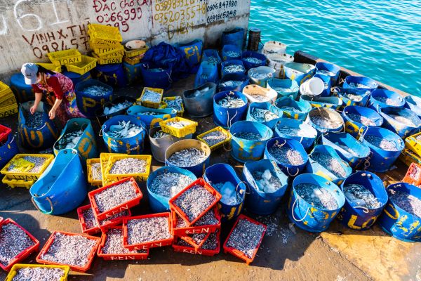 Provence's Hidden Waterways," "Camargue & Canals
