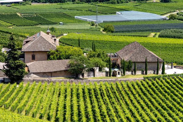 Remarkable Sites and Fine Wines on a Cruise