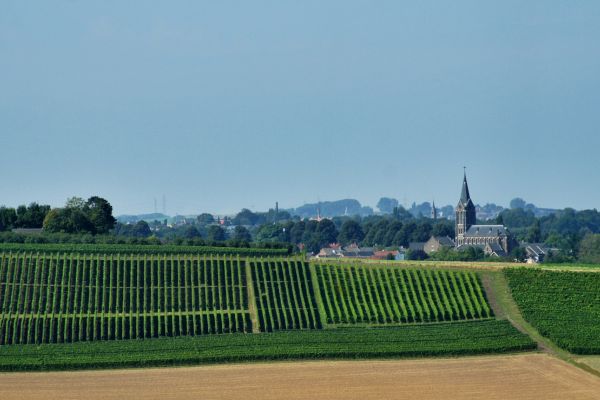 Art, Heritage & Gastronomy: A Belgian Canal Cruise