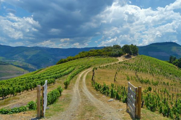 Paris to Loire: A Royal Heritage