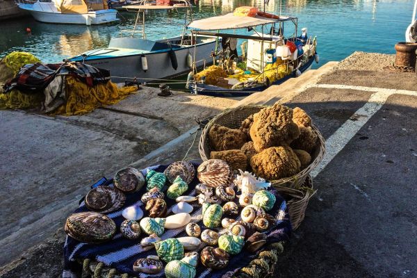 Provence's Hidden Waterways," "Camargue & Canals
