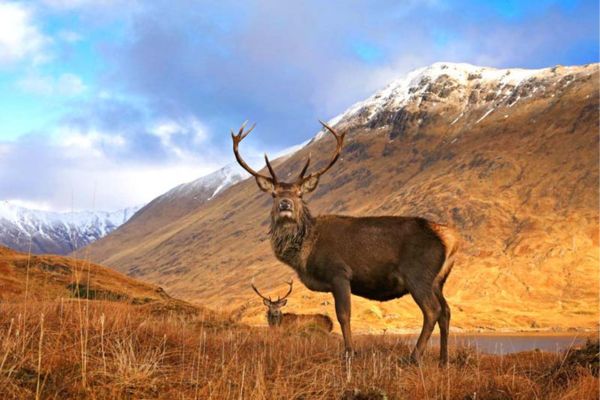 Castles, Coastlines & Royalty