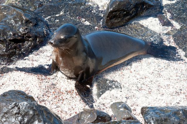 Two Wonders, One Adventure