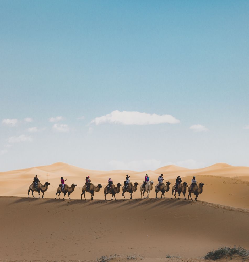 Echoes of Arabia: KSA and Oman