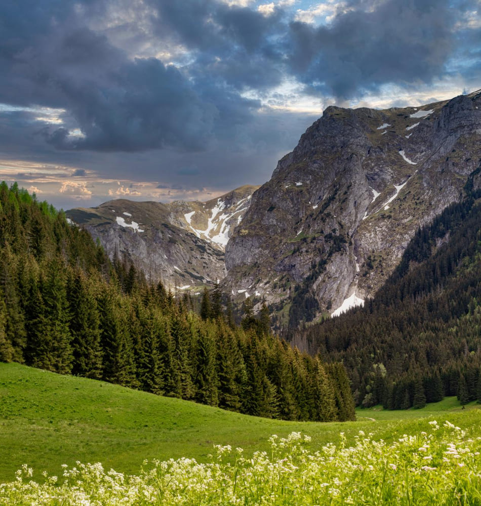 Black Forest and Romantic Germany