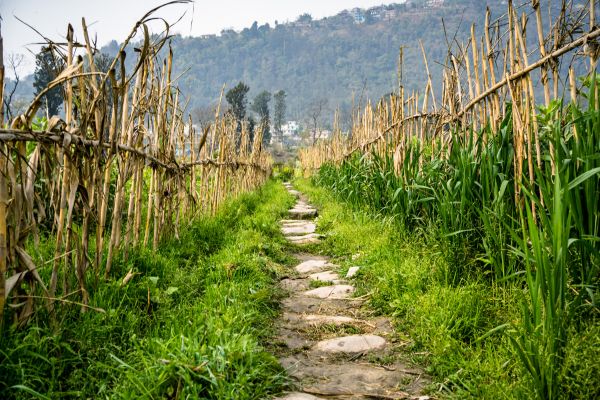 Annapurna Base Camp Trek