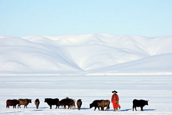 Orkhon Valley & Eight Lakes: Nomadic Trails Trek