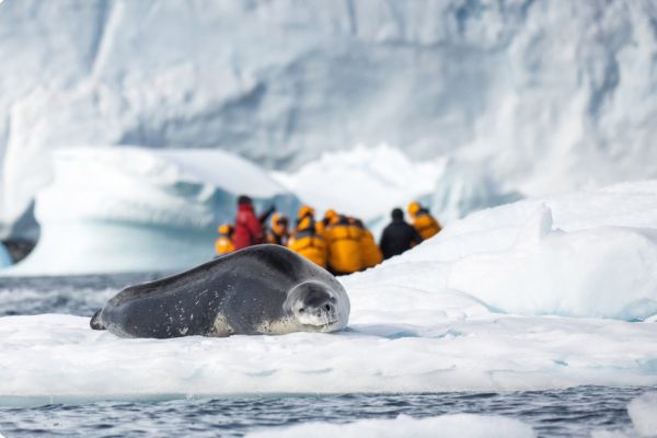 Antarctica Beyond Limits