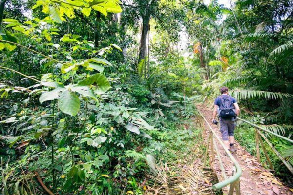 Immerse Panama City Essentials