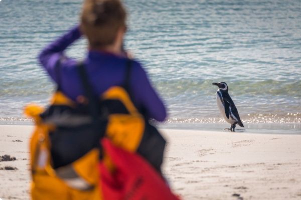Antarctica Beyond Limits