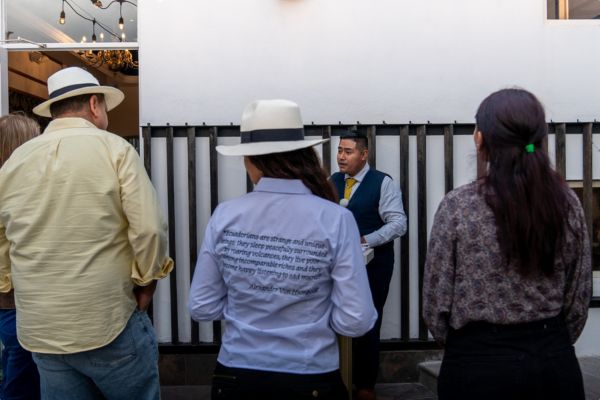 Andes and the Volcano Avenue