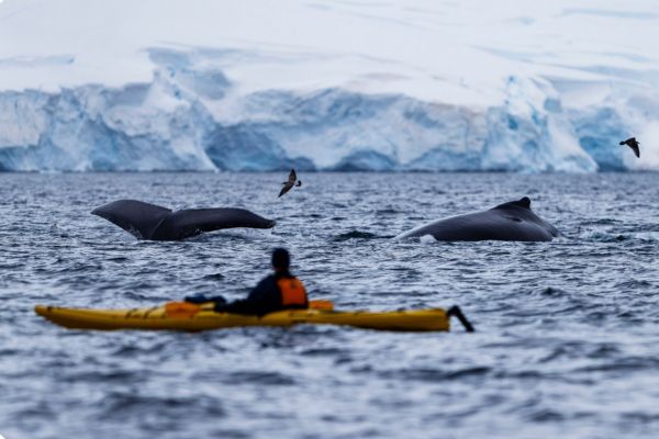 Antarctica Beyond Limits